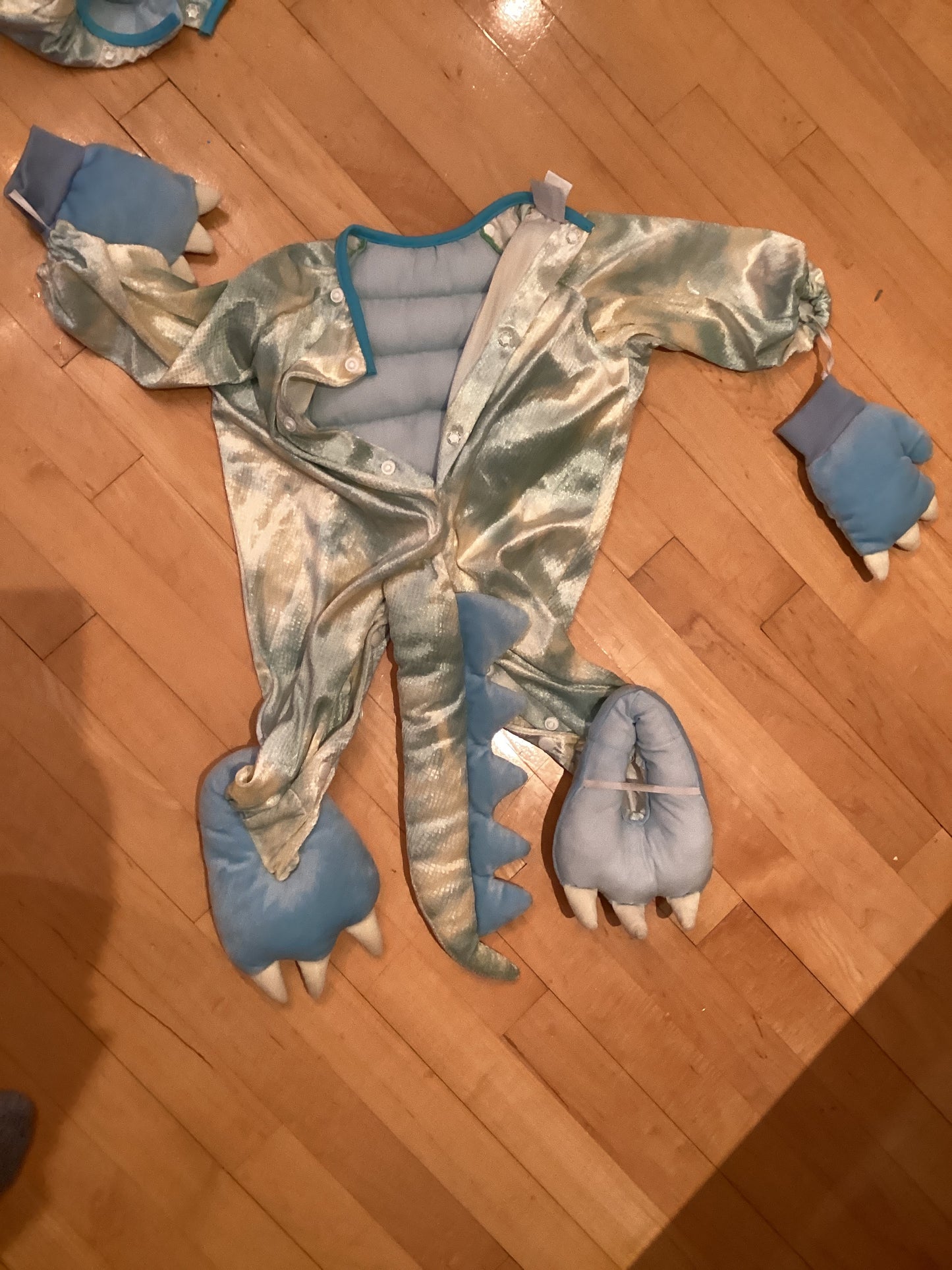 Dinosaur costume with head piece (toddler) Item #36
