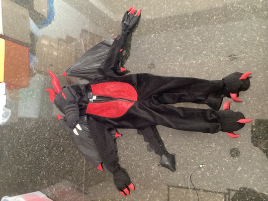 Dragon costume (4-5) Item #11