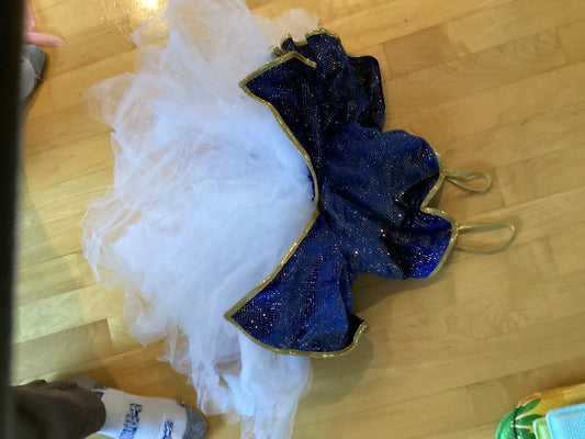 Blue white and gold dress costume (3-5) Item #31